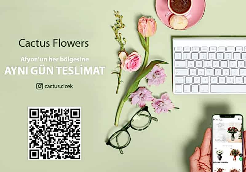 https://gosurprisegift.work/